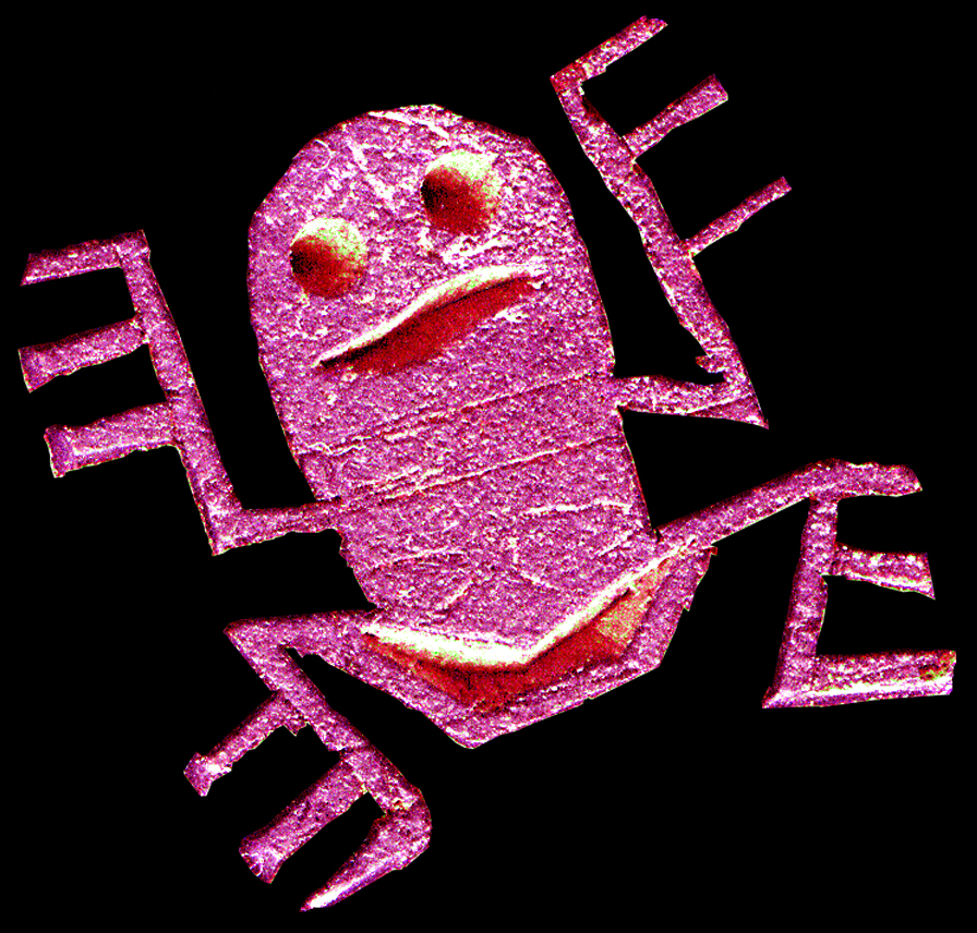 purplefrog.de / film- und videoproduktion köln